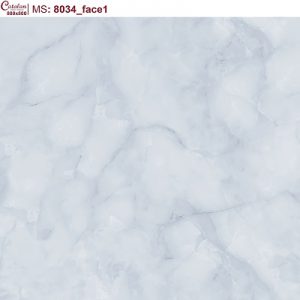 Gạch lát nền Catalan TiTan 80x80cm 8034