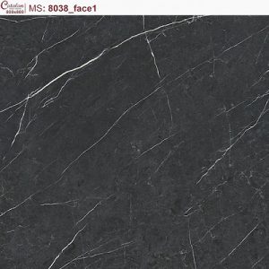 Gạch lát nền Catalan TiTan 80x80cm 8038