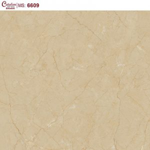 Gạch lát nền Catalan Titan 60x60cm 6609
