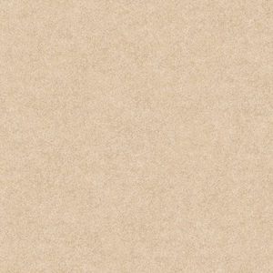 Gạch lát nền Catalan Titan 80x80cm 8007