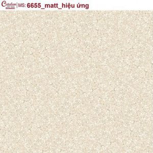 Gạch lát nền Catalan Titan 60x60 6655