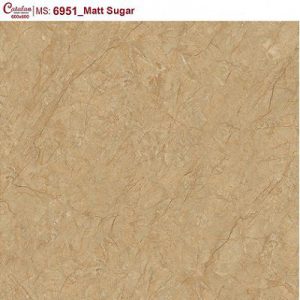 Gạch lát nền Catalan Titan 60x60 6951