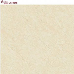 Gạch lát nền Catalan Titan 80x80 8045
