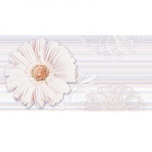 Gạch ốp tường Catalan 30×60 3972